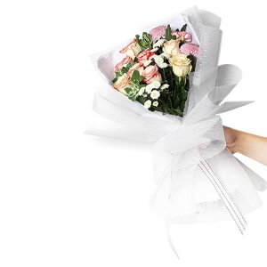 ԑbsOt[hbgbVԖڔTenjv[gt[Mtg蕨pbP[Wԕݎpތo^Cf[LOc