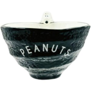 }NtgSNOOPYXk[s[tBMAtqubN120xH70mmSPTX-005