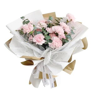 Ԏԑu[PpbsOy[p[50cm*4.5m2X^[[bVbsOލރt[AWgDIY|ԉƖp̓/a//o^Cf[c