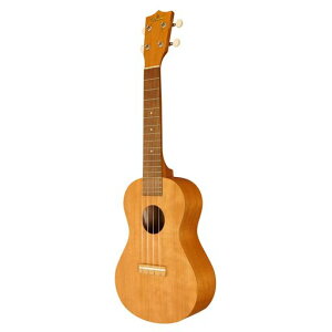 �yFamous�z �R���T�[�g�E�N���� FC-11G (���Y �`�F���[��)