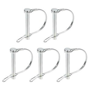 DTGN8mmx60mm(DxL)bNs5_g[[ŐpYf|Ehg[[Jv[sW/C[Vo[g[