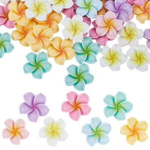 SUNNYCLUE707F܎ZԃvAԃ`[t[Syr[Yy_gԃCOԂтlbNXnCA|}[NCp[csAXa3dSyUVWfRfރLc