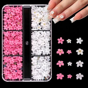 lCp[cƃsN̉1P[X傫lCp[cXg[3D̃{fRp[cуlCA[gWG[p[c|nhChWp[c