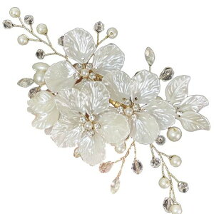 BLOOPICaamΉwANbvt@bVԉԕl\ƎwhXfB[XANZT[(zCgS[h)