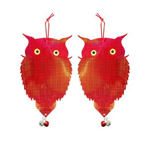 Orirya悯ObYJX悯ObYe[vʔ˃e[vt悯悯x_JX΍˃ohhe[v2_Zbg