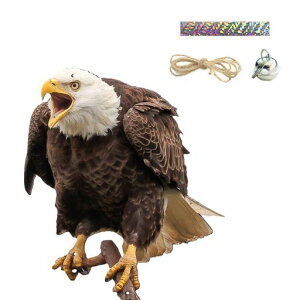 BTtime悯ObY悯foCX̑̒uXYޔ˒݂艺x_ʉ_앨Qƒ؉phhb΍