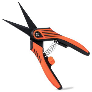 Yeeco΂ݙ|͂݉ԃnT~}؂nT~Ă΂ݔ_Ɖƒ؉pTrɋ