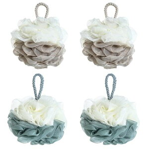 SSZYMAOYI{fBX|WAălbg{fBp4CAălbgӂӂ풴_ɗDԌ`V{{[w􂦂oXpijp