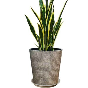 Glynislife�v�����^�[���^�������󂯎M�t���A�ؔ��������y�ʃv���X�`�b�N�������O�p�v�����^�[�[�^����28cm�r�����t���ϗt�A�����A�ؔ�(25#�[�^-�L������)