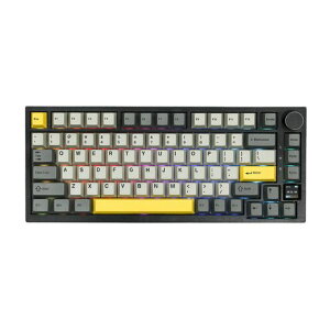 EPOMAKER Ajazz AK820 Pro �Q�[�~���O�L�[�{�[�h 75% �K�X�P�b�g���� ���J�j�J���L�[�{�[�h TFT�X�N���[�� 3���[�h(Bluetooth 5.1/2.4G���C�����X&Type-C�L��) �����t�H�[������ (Grey,