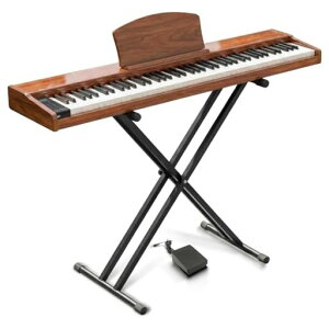 �y��p�X�^���h�t���zLongeye�����A�C�d�q�s�A�m88���Չ��ǂ�������MOLD2�ؐ��{�f�B���{��\�LMIDI�[�q�Ή��y�_���t��380��މ��F�ڒ��A���g���m�[���@�\�t��DREAM�������S�ҁA���K�Ƀs�b�^�c