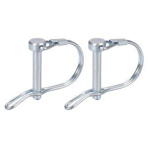 DTGN5mmx40mm(DxL)VtgbLOs2Zbg_ƃg[[ŐɓKpJ[{X`[Ehg[[Jv[sW/C[Vo[g[