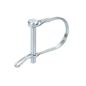 DTGN6mmx45mm(DxL)VtgbLOs1pbN_ƃg[[ŐɓKpJ[{X`[Ehg[[Jv[s(C[t)Vo[g[