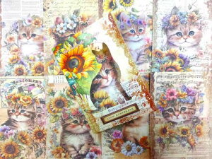 R[WfރfUCy[p[̔LV[Y140*100mm10G30L`[tfގlߍ킹wiR[Wm[g蒠fR[VpbsOy[p[(Ђ܂L)