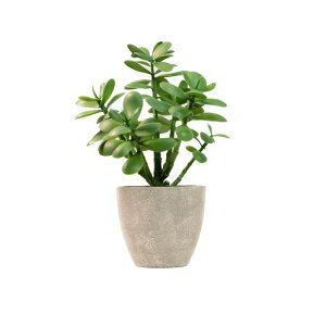 365 Blooming Decor 31CM�l�H�����A�� �t�F�C�N�O���[�� �ϗt�A�� �l�H�ϗt�A�� ���� �C���e���A �������A���Ő��̖� �����b�s�v �v���[���g