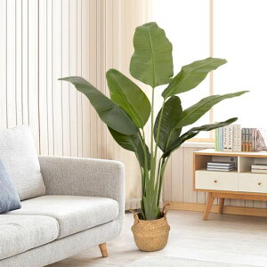 ybaymy�l�H�ϗt�A���t�F�C�N�O���[���X�g�����`�A�E���M�l��^����160cm���G�}�C���e���A���O�t�F�C�N�A�������s�v�͂�Ȃ��~�͐A���V�z�j����̓����̓��M�t�g���Ղ葡�蕨(�Ɋy���ԁc