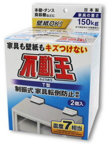 �s�񃉃e�b�N�X �Ƌ�]�|�h�~�p�i �s���� T�^�Œ莮 FFT-009