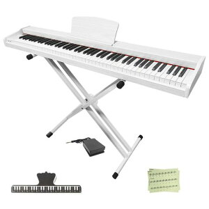 �y��p�X�^���h�t���zLongeye�����A�C�d�q�s�A�m88���Չ��ǂ�������MOLD2�ؐ��{�f�B���{��\�LMIDI�[�q�Ή��y�_���t��380��މ��F�ڒ��A���g���m�[���@�\�t��DREAM�������S�ҁA���K�Ƀs�b�^�c