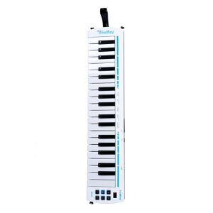 Windkey �d�q���Ճn�[���j�J �E�B���L�[ WK37 TAHORNG �^�z�[��