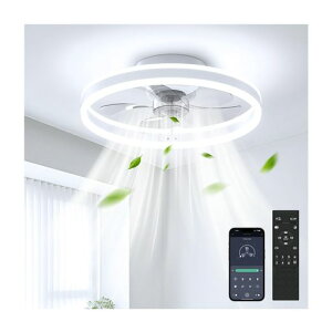 �V�[�����O�t�@�����C�g8-10��50cm���t��]��g�[����UP�V�[�����O�t�@��coizabera�ȃG�lLED�V�[�����O���C�g�������F�E���ʒ�����@��铔�ő�6400lm�h�炬�h�~DC���[�^�[�������[/�^�C�}�[