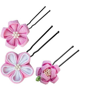 y񂴃XgAz܂ݍ׍HԔ肩񂴂wAANZT[RT[W߂Ԃkɐl܎OƎaїߐUpʔ(ysN2z3Zbg)