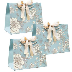 bsO܎܎񂰃v[gpMtgobOo܃NX}Xao^CbsO(25CM3)