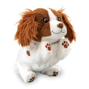 �A�K�c�}(AGATSUMA)�n�C�^�b�`!����������!Showtime(�V���E�^�C��)�Ώ۔N��:3�Έȏ㓮���ʂ�����݌����{�b�g