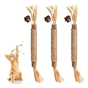 Lނ܂Ƃ킢Lpi܂єL_VRؖVRS̃N[jO^sXgX얞Lpy22cm3Zbgz