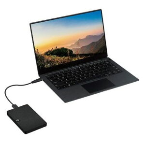 �G���R���O�t���n�[�h�f�B�X�N�|�[�^�u��HDD2.5�C���`1TB�t�@�����X�É��݌v�u���b�NSGP-LX010UBK
