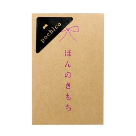 FUN ポチ袋 pochico クラフト PO-C05-2P ほんのきもち 5枚入 2個P