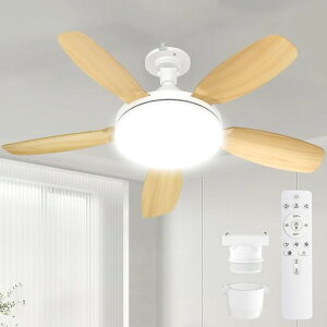 SUKITENV[Ot@Cgt@tƖy^E啗ʁEt]zV@44W120W5000lmODC[^[E2681cm[/^C}[@\Rt8-10ȃGldFFȒPc