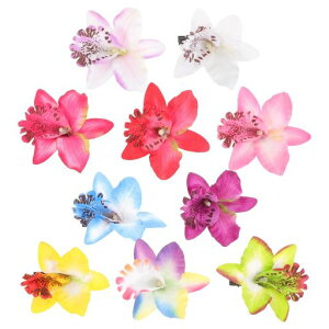 TENDYCOCOwANbvԕ傫10_Zbg߃ob^vAwAs背fB[Xt[wAANZT[