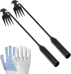 AnJieYa蓹F42{Zbg|pi@N背[LLbgXeXyʎGc[̃eiX̑p