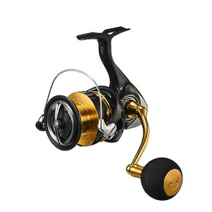 �_�C��(DAIWA)�X�s�j���O���[��23���K���XLT5000-CXH
