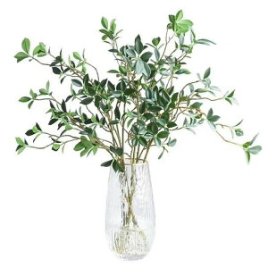 WillingYoutFCNO[lHϗtA73cm4{Zbgsv͂Ă{[CeAO[rOփItBXi`fBXvCp