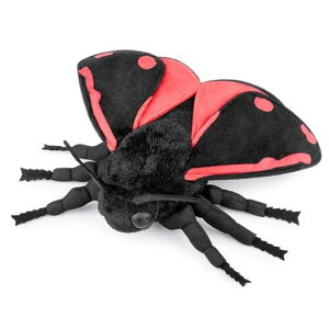 C̉邪ȂJCRނAʂ݃~jʂ݂qv[gI[igCeA25cm...