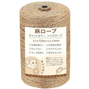 BValley6mmꑾ[vRVR@ۃW[gЂyA[vL^[܌XNb`[DIY||AEghAp(F-20M)