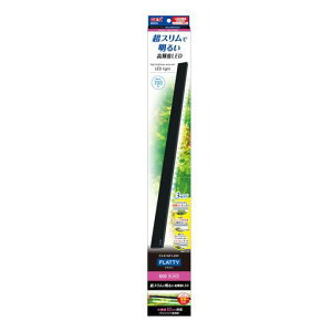 �W�F�b�N�XGEX�N���ALED�t���b�e�B600��USB�d���X�������P�xLED60cm�����p����9mm���s27mm�u���b�N���C�g���t�g�t��
