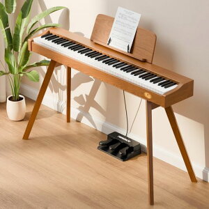 TERENCE�d�q�s�A�m88���Ճn���}�[�A�N�V�������Ճf���V�s�A�m�ؐ��X�^���h��̌^Audio/MIDI/�}�C�N�Ή�3�{�y�_��/�C���z���W���b�N�t���q��/��l/���S��/�}�X�^�[�Ɏ戵�������t��P37