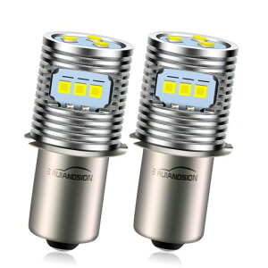 Ruiandsion2��LED�d��P13.5S�������C�g�����p6V-24V(6V9V12V16V...)0.6WLED���d�����ɐ�