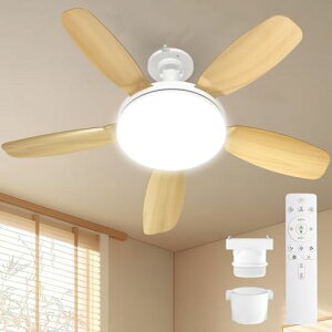 TENKOO&YOUV[Ot@CgLEDy啗ʁEʁzt@tƖV[Ot@E26@44W5000lmV䃉CgƖȃGlt]؂ւKiF3KiʒDC[^c