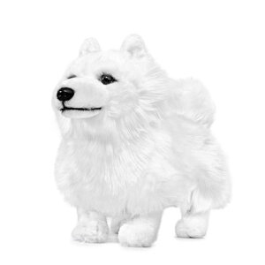 V~[VTGhʂ-A12C`Ă锒TGybgʂ݂킢qf჆j[NȂʂ݃MtgRNVq̒az[c