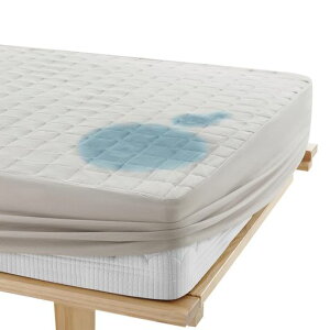 N(Kumori)h{bNXV[cChLOhV[cpbȟ^~pbhpbȟ^13SStEȒP˂V[c֑΍RۖhLh_jp􂦂I[c