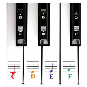 QMGColorPianoandKeyboardMusicNoteFullSetStickersforWhiteandBlackKeys;MadeinUSA