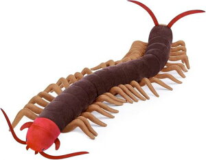 ZHONGXINMADEJfʂ݃uE23.6C`|{|qE̎q|EfRp