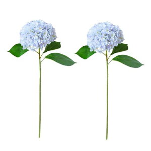 DIFEIUKIAWTC2{ZbgzԃVNt[stĈ֑}Č͂Ȃԃe[uZ^[s[Xp[eB[z[fR[VDIYԍގʐ^BetFCNc