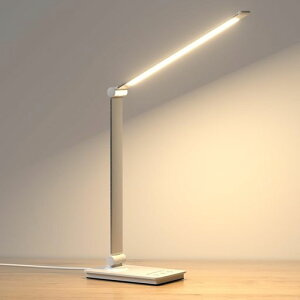 y2025VoEȃGl&ڂɗDzfXNCg邢ledCgƖiK5iKF^C}[EL@\PxX^hCgUSBddCX^hledfXNCg܂ݎc