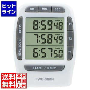 vGgy12/5 24Ԍ蓖Im21I1ő100%|CgobNz@ JX^ 3`l^C}[100Ԍv FWB-388N 0266110