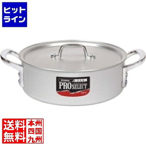 �v�G���g���y10/15 24���Ԍ��蓖�I�m��2����1�I1���ő�100%�|�C���g�o�b�N�z�@ �k���A���~�j�E�� �A���~ �v���Z���N�g �O�֓�(�ڐ��t) 60cm �� �K�X�ΐ�p ASTD560