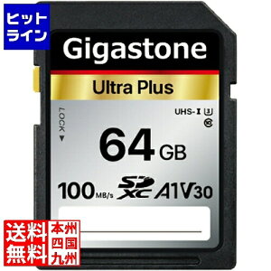 GIGASTONE SDXC�J�[�h 64GB Class10 UHS-I U1 A1 V30�X�y�b�N �ő�ǂݎ�葬�x100MB/s 4K & Full HD�J���� �p�\�R�� �ʐ^ ����f�[�^�ۑ� GJSX-64GV3A1